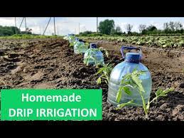 simple quick drip irrigation system