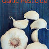 Using Garlic as a Natural Pesticide