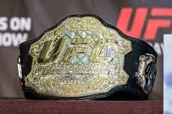 Do you get a new UFC belt each win?