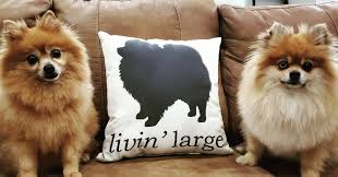 Livin Large Dog Outdoor Throw Pillow