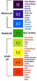 Urparamount The Ph Scale And You