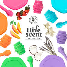 hive scent collection of dog toys