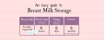 Everything You Need To Know About Breast Milk Storage Guidelines