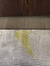 carpet oriental rugs pet vomit removal