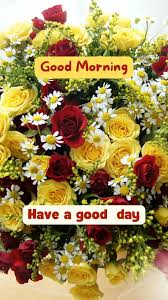 good morning rose images pics haven