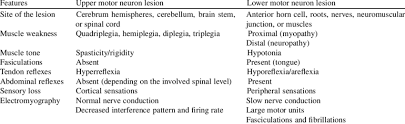 lower motor motor neuron lesions