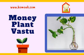 Best Vastu Plants Attract Money