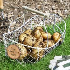 personalised garden allotment veg trug