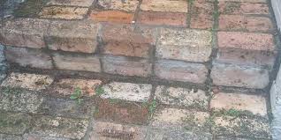 Cleaning Mold And Mildew Off Bricks