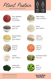 Plant Based Protein Sources From Ascension Kitchen Vegan