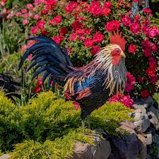 27 Tall Painted Iron Rooster