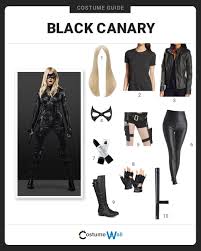 dress like black canary costume