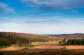 tourisme de la forêt de saint hubert