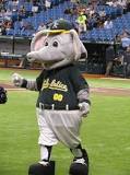 why-is-there-an-elephant-on-oakland-as-uniform