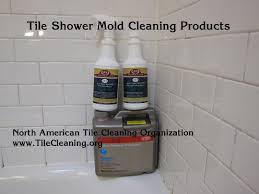 remove mold in a ceramic tile shower