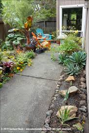 bromeliads for the backyard