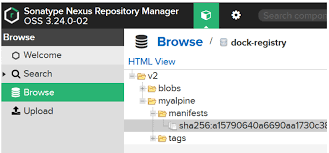 nexus3 repository using docker