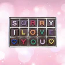 top 10 sorry apology gift ideas for
