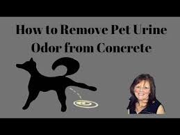 Remove Pet Urine Odor From Concrete