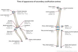 Fracture Education Epiphyseal Injuries