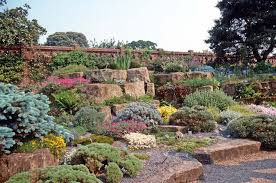 Succulent Rock Garden