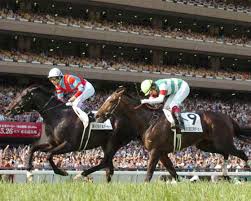 Saudis 110 Cr Event Reshuffles Richest Horse Races Chart