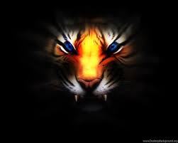 3D Tiger Wallpapers Wallpapers HD Wide ...