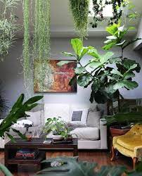 Living Room With Garden Ideas
