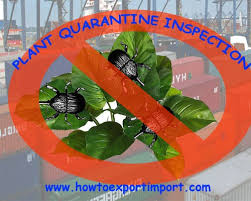 plant quarantine department