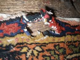 persian rugs services home