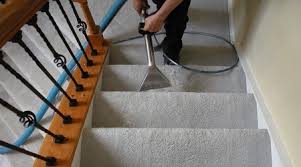 mississauga carpet cleaning carpet