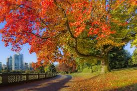 Canada Fall Foliage Reports