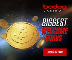 It was just about to touch $20,000 which is becoming more popular than ever. Best Bitcoin Mining App Android Top 5 Btc Miner For Android Bitcoin Bitcoin Mining Casino