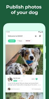 How to become a certified dog trainer in texas. Dog Puppy Training App With Clicker By Dogo For Android Apk Download