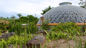 brisbane city botanic gardens in