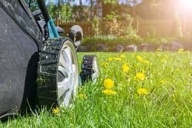 Families in massachusetts and rhode island trust and depend on simply safer lawn care as the lawn care company providing the best in professional lawn care service. A Step By Step Lawn Care Guide Spring Lawn Care Service