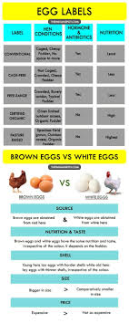 Brown Vs White Eggs Cookingequipmentkitchentools Raw