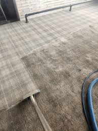 carpet cleaning in norman ok stain