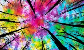 Rectangle Multicolor Tie Dye Tree Of