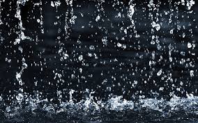 rain water drops hd wallpaper peakpx