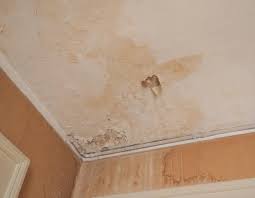 ceiling leak drywall repair wet