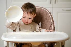 why your toddler won t eat possible