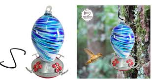 7 Best Glass Hummingbird Feeders