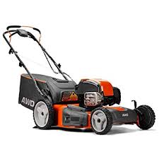 Top 10 Best Gas Lawn Mowers On The Market Nov 2019 Updated