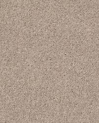 shaw full court bare mineral carpet