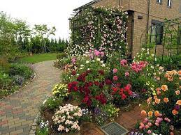 11 Beautiful Rose Garden Designs For