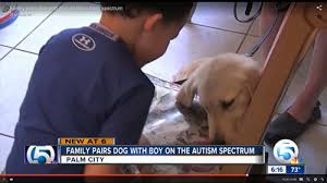 autism service dogs autism istance