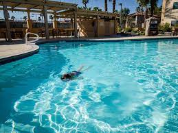 palm springs with kids family can travel