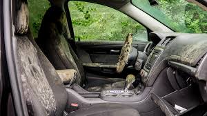 a thorough guide on how to remove car mold