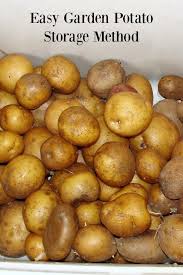 Potatoes From Your Garden